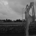 DSC_0226