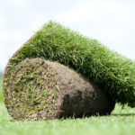 Graszoden