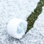 wintergolfball