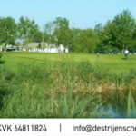 mail-signature-DSG-large