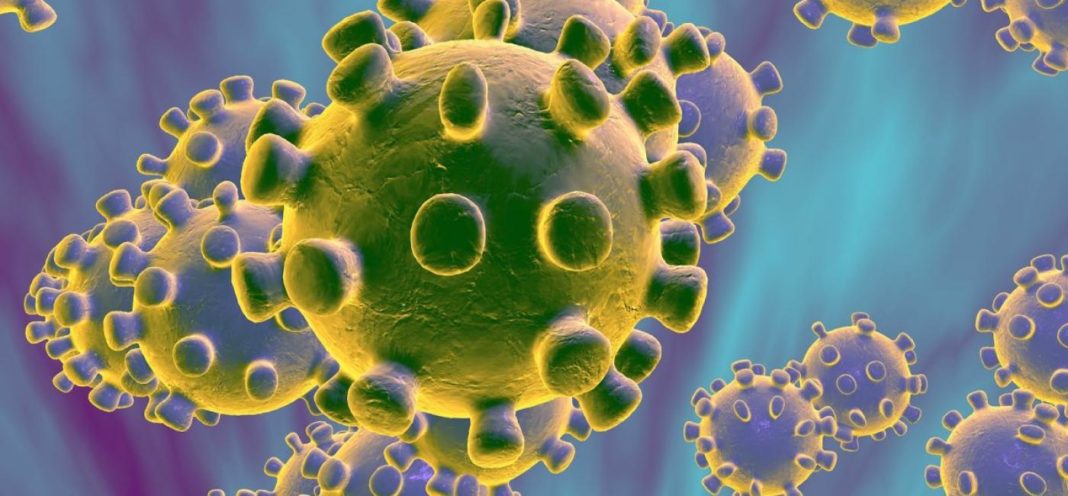 CoronaVirus